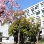 横浜市立南高等学校･附属中学校-大学や企業と提携し、海外研修などのプログラムが充実