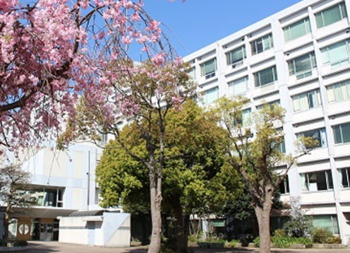 横浜市立南高等学校･附属中学校-大学や企業と提携し、海外研修などのプログラムが充実